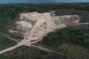 Pérdida forestal de la península de Yucatán es equivalente a dos veces la CDMX